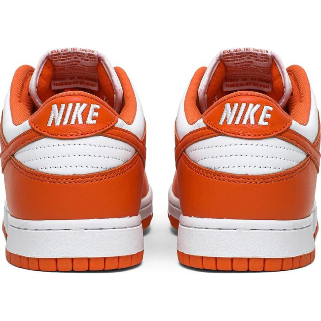 syracuse nike dunks